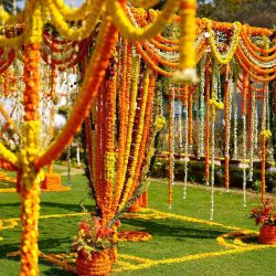 Traditional Mandaps